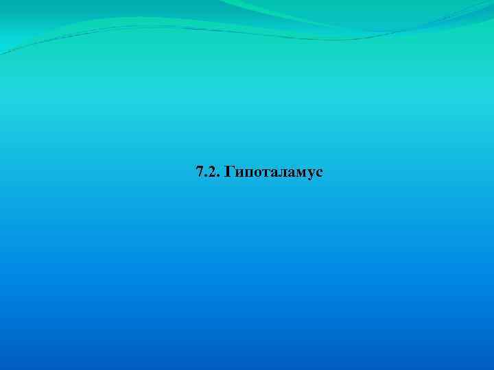 7. 2. Гипоталамус 