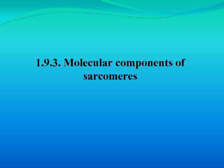 1. 9. 3. Molecular components of sarcomeres 