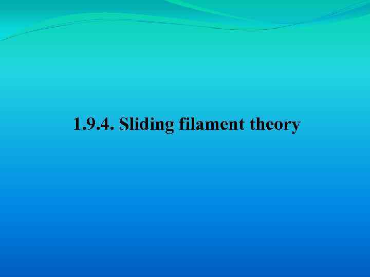 1. 9. 4. Sliding filament theory 