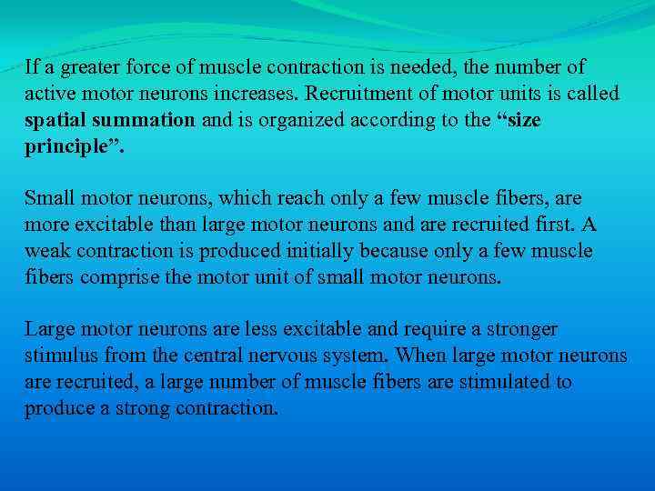 If a greater force of muscle contraction is needed, the number of active motor