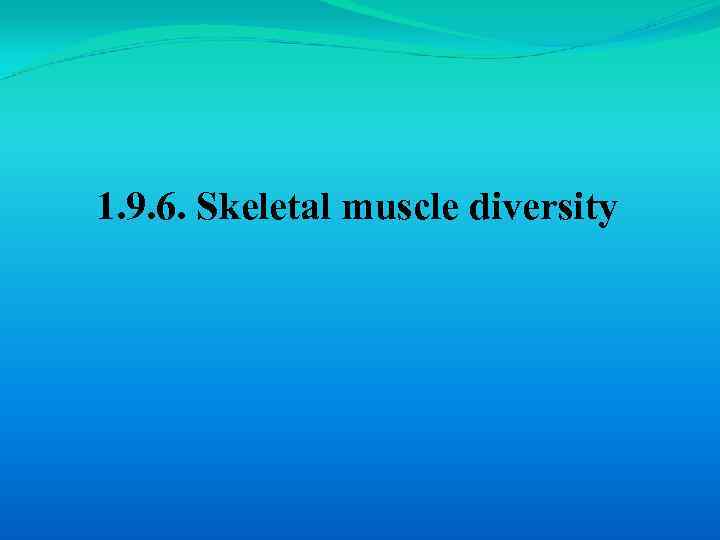 1. 9. 6. Skeletal muscle diversity 