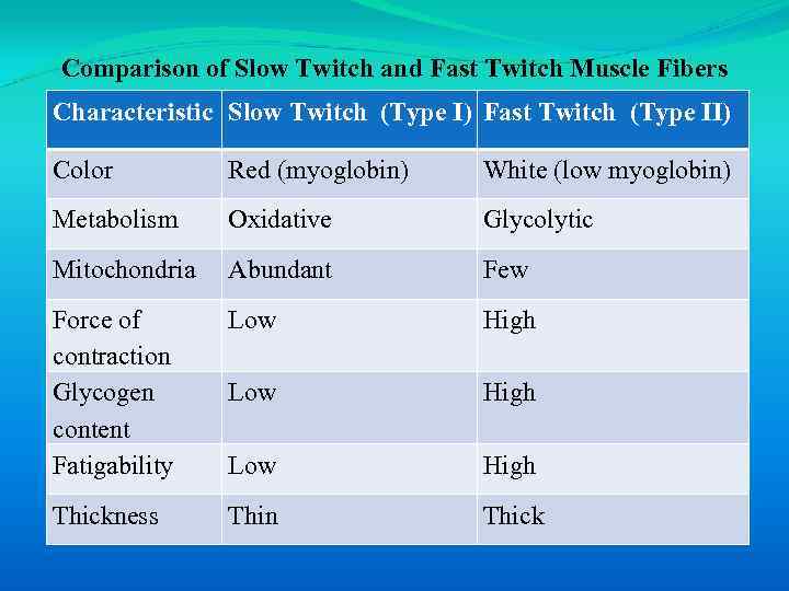 Comparison of Slow Twitch and Fast Twitch Muscle Fibers Characteristic Slow Twitch (Type I)