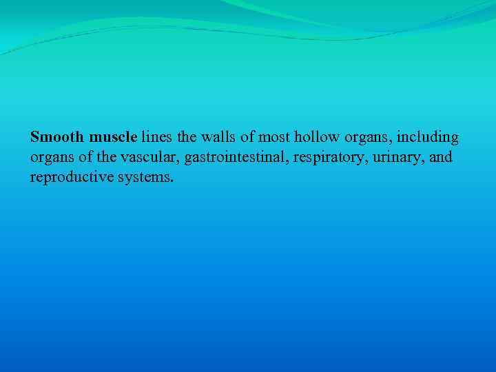 Smooth muscle lines the walls of most hollow organs, including organs of the vascular,