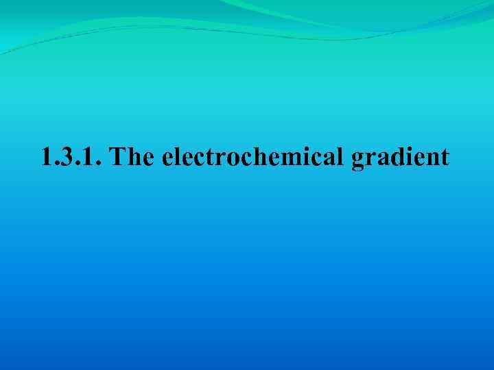 1. 3. 1. The electrochemical gradient 