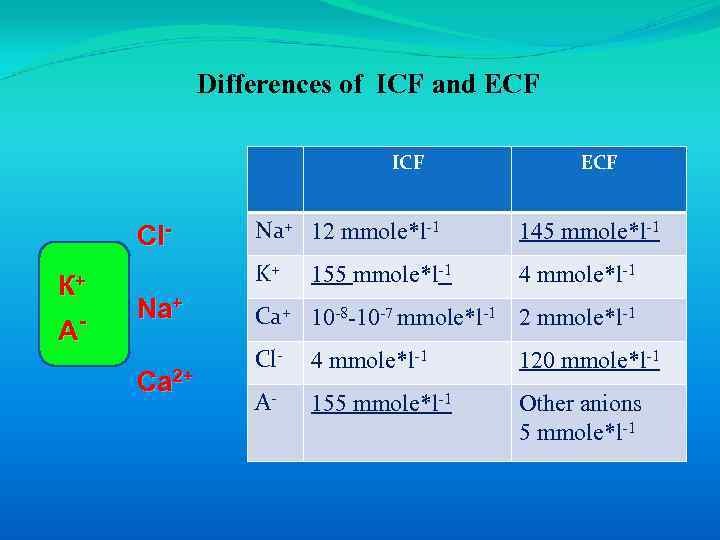 Differences of ICF and ECF ICF А- Na+ Ca 2+ Na+ 12 mmole*l-1 145