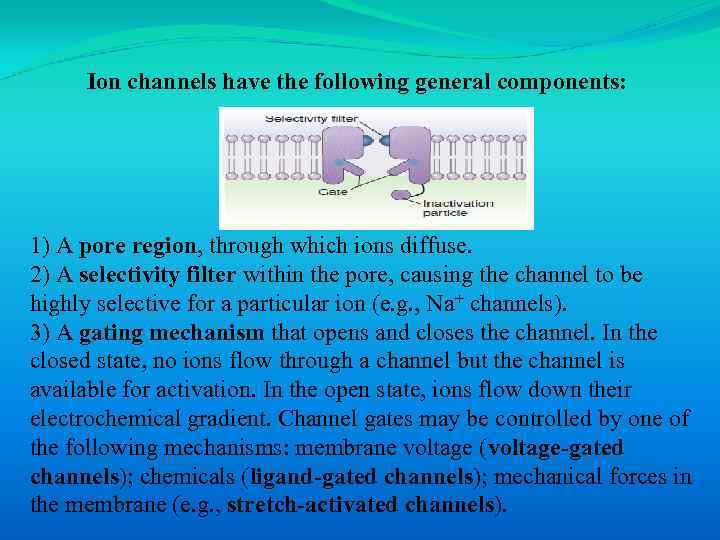 Ion channels have the following general components: 1) A pore region, through which ions