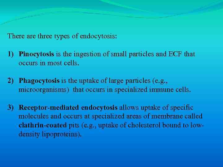 There are three types of endocytosis: 1) Pinocytosis is the ingestion of small particles