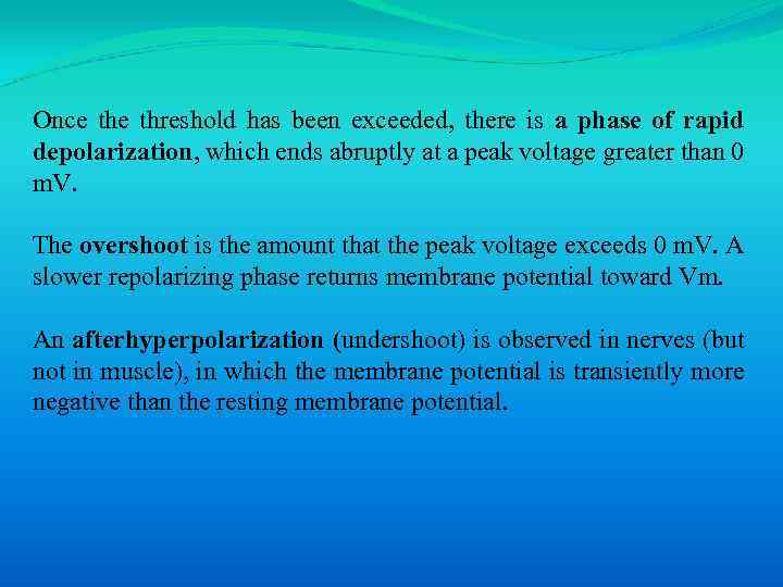 Once threshold has been exceeded, there is a phase of rapid depolarization, which ends