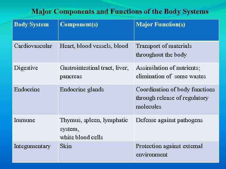 Major Components and Functions of the Body Systems Body System Component(s) Major Function(s) Cardiovascular