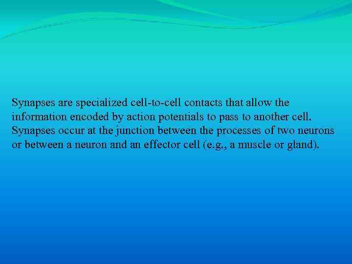 Synapses are specialized cell-to-cell contacts that allow the information encoded by action potentials to