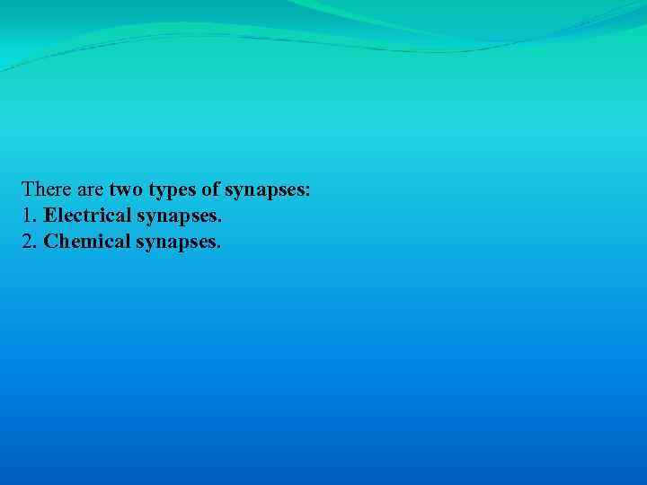 There are two types of synapses: 1. Electrical synapses. 2. Chemical synapses. 