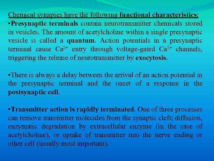 Chemical synapses have the following functional characteristics: • Presynaptic terminals contain neurotransmitter chemicals stored