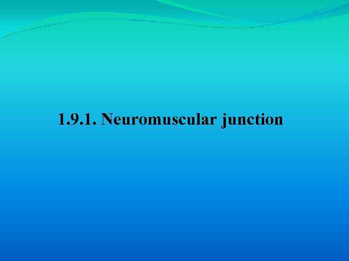 1. 9. 1. Neuromuscular junction 