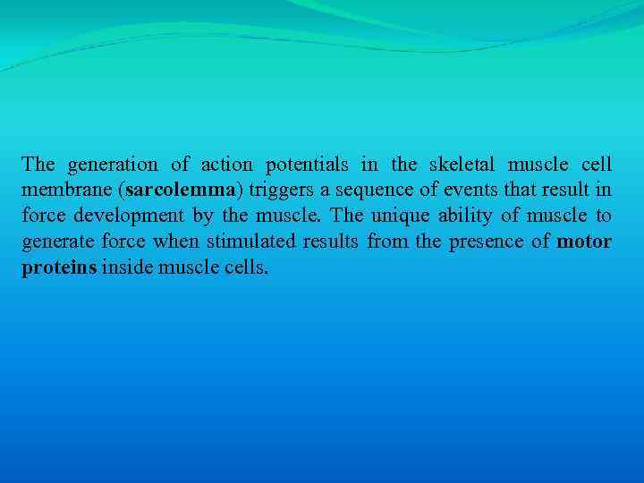 The generation of action potentials in the skeletal muscle cell membrane (sarcolemma) triggers a