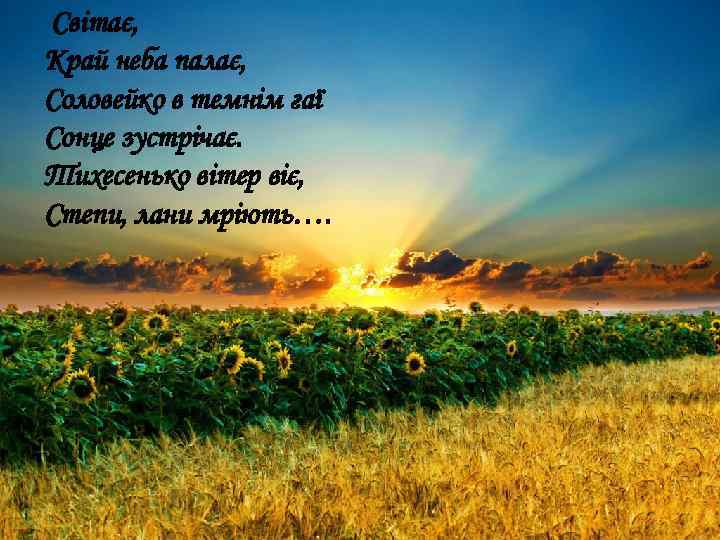  Світає, Край неба палає, Соловейко в темнім гаї Сонце зустрічає. Тихесенько вітер віє,
