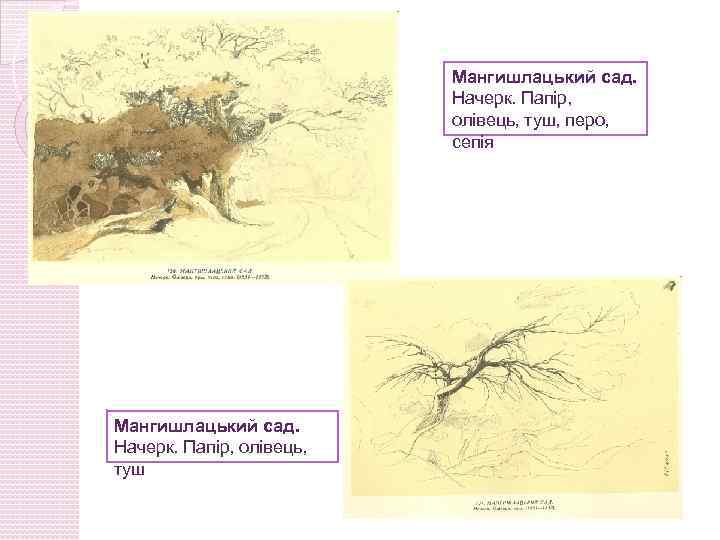 Мангишлацький сад. Начерк. Папір, олівець, туш, перо, сепія Мангишлацький сад. Начерк. Папір, олівець, туш