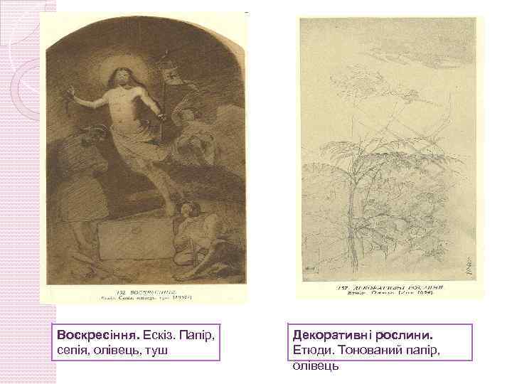 Воскресіння. Ескіз. Папір, сепія, олівець, туш Декоративні рослини. Етюди. Тонований папір, олівець 