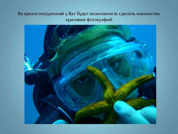 Во время погружений у Вас будет возможность сделать множество красивых фотографий 
