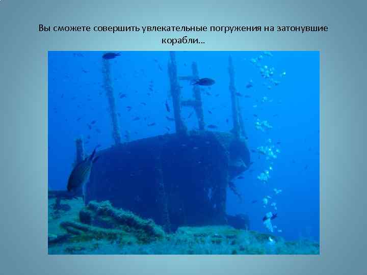 Вы сможете совершить увлекательные погружения на затонувшие корабли… 