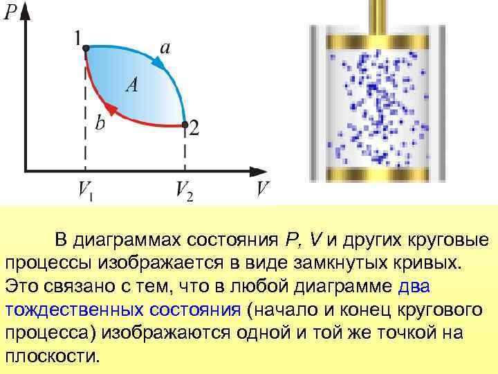В диаграммах состояния P, V и других круговые процессы изображается в виде замкнутых кривых.