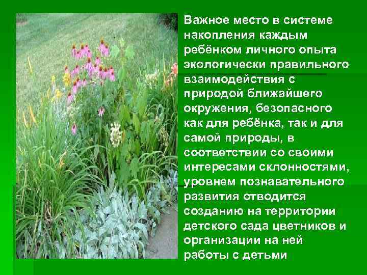 , § Важное место в системе накопления каждым ребёнком личного опыта экологически правильного взаимодействия