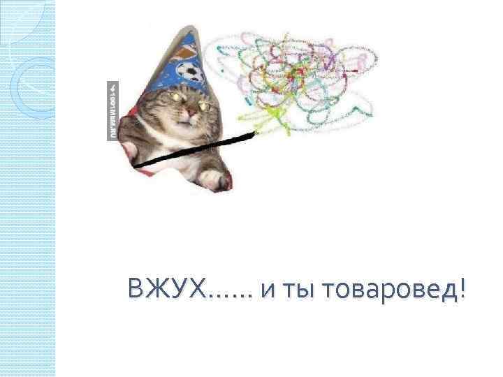 Картинка вжух с котом