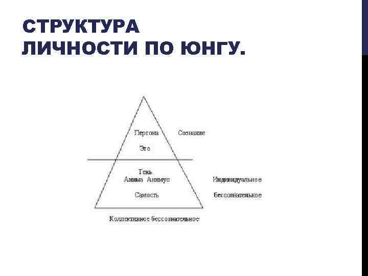 Структура личности по юнгу картинка