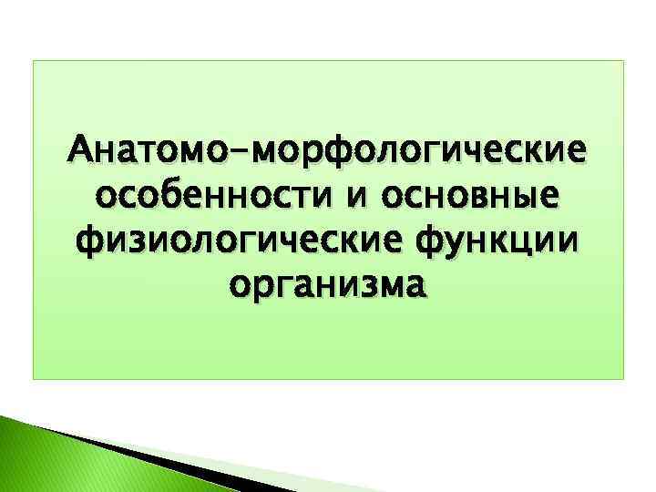 Анатомо-морфологические особенности и основные физиологические функции организма 