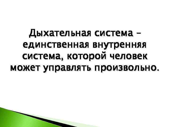 Дыхательная система – единственная внутренняя система, которой человек может управлять произвольно. 