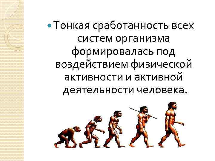  Тонкая сработанность всех систем организма формировалась под воздействием физической активности и активной деятельности