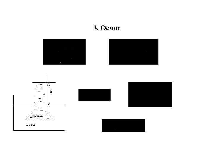 3. Осмос 
