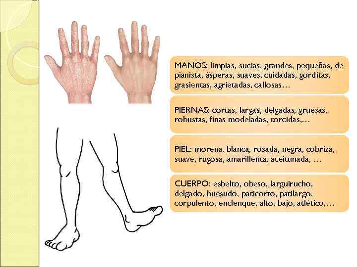 MANOS: limpias, sucias, grandes, pequeñas, de pianista, ásperas, suaves, cuidadas, gorditas, grasientas, agrietadas, callosas…