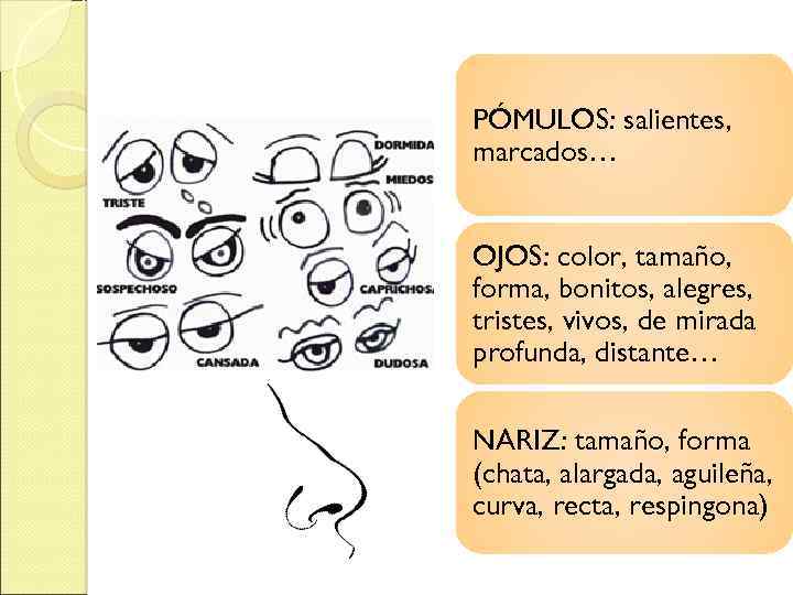 PÓMULOS: salientes, marcados… OJOS: color, tamaño, forma, bonitos, alegres, tristes, vivos, de mirada profunda,