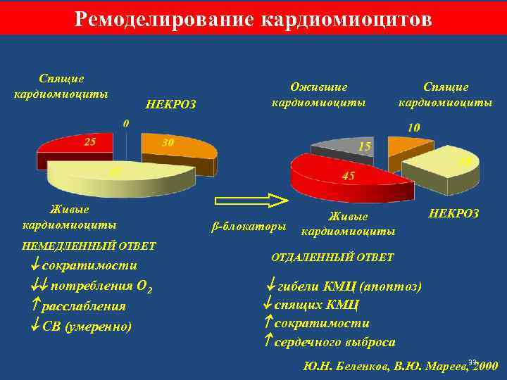 Ремоделирование кардиомиоцитов Спящие кардиомиоциты НЕКРОЗ Живые кардиомиоциты НЕМЕДЛЕННЫЙ ОТВЕТ сократимости потребления О 2 расслабления