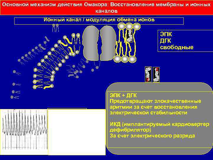 Основной механизм действия Омакора: Восстановление мембраны и ионных каналов Ионный канал / модуляция обмена