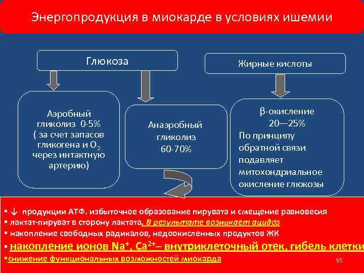 Энергопродукция в миокарде в условиях ишемии Глюкоза Аэробный гликолиз 0 -5% ( за счет