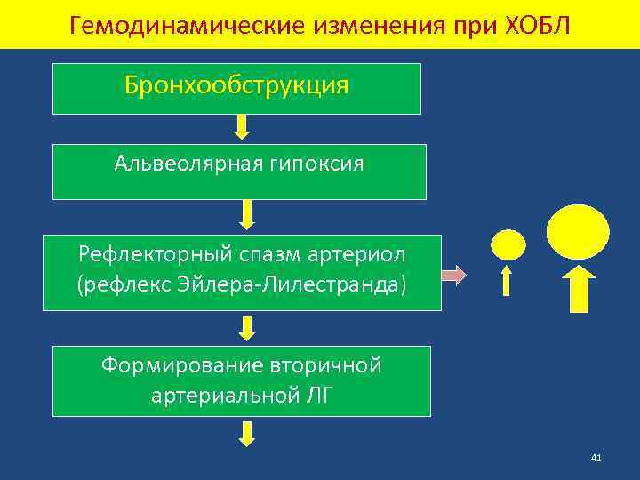 Гемодинамические изменения при ХОБЛ Бронхообструкция Альвеолярная гипоксия Рефлекторный спазм артериол (рефлекс Эйлера-Лилестранда) Формирование вторичной