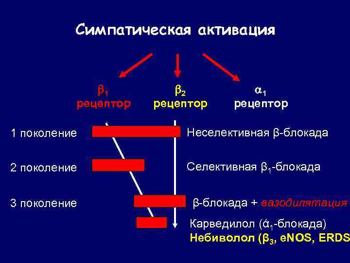 Симпатическая активация 1 рецептор 2 рецептор a 1 рецептор 1 поколение Неселективная β-блокада 2