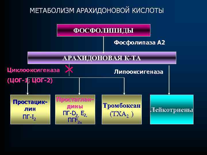 Схема арахидоновой кислоты