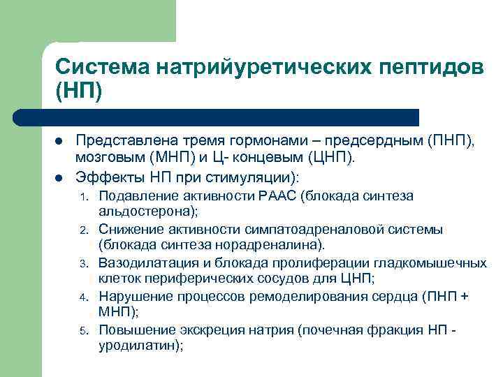 Система натрийуретических пептидов (НП) l l Представлена тремя гормонами – предсердным (ПНП), мозговым (МНП)