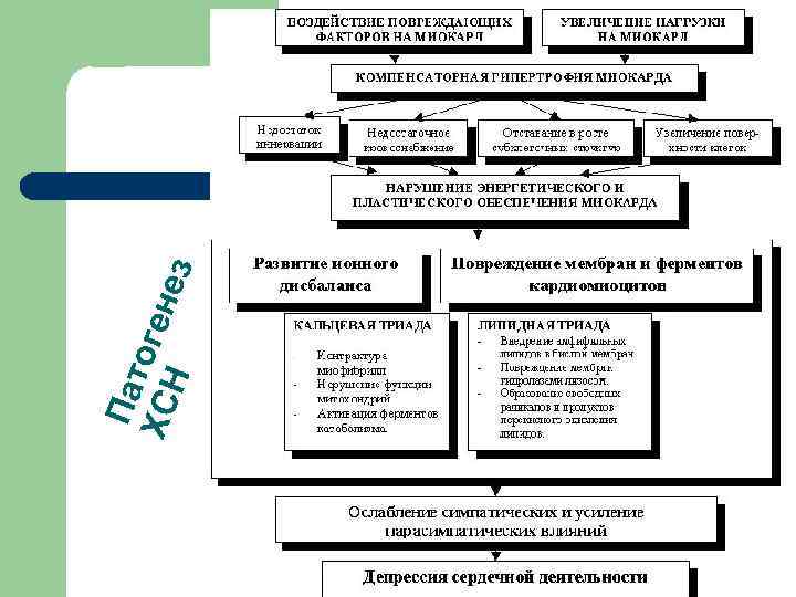 Пат ХС огене Н з 