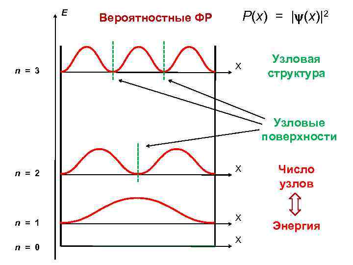 E n = 3 P(x) = | (х)|2 Вероятностные ФР X Узловая структура Узловые
