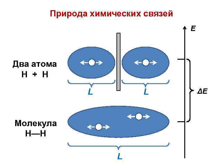 Природа химических связей Е Два атома Н + Н L L Молекула Н—Н L