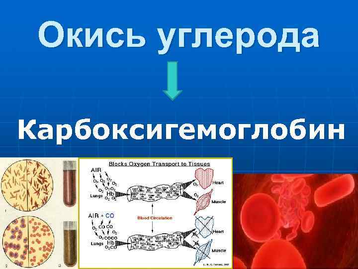 Окись углерода Карбоксигемоглобин 