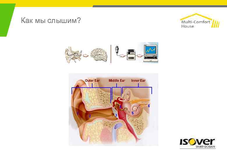 Как мы слышим? 