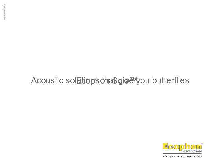 Acoustic solutions that give you butterflies Ecophon Solo™ 
