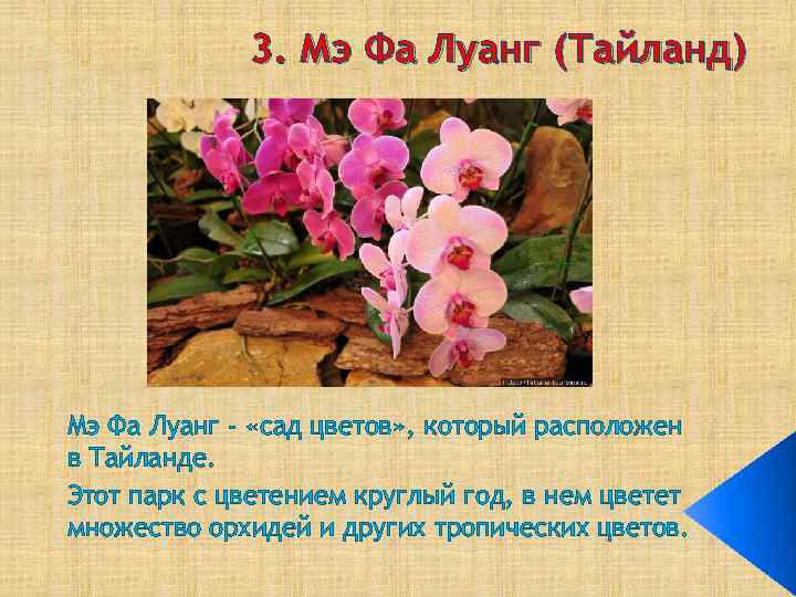 3. Мэ Фа Луанг (Тайланд) Мэ Фа Луанг - «сад цветов» , который расположен