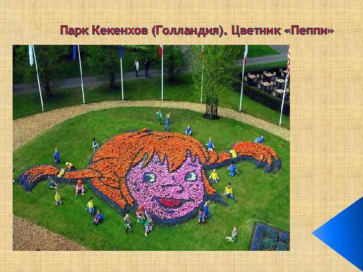 Парк Кекенхов (Голландия). Цветник «Пеппи» Парк Кекенхов (Голландия 