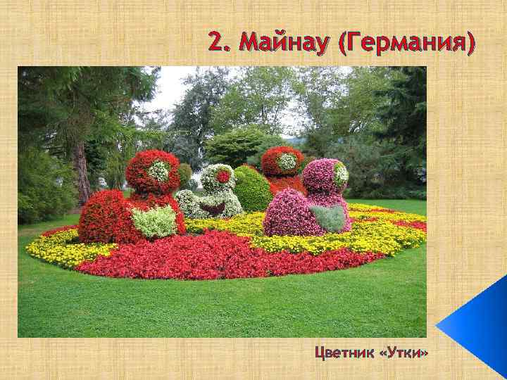 2. Майнау (Германия) Цветник «Утки» 