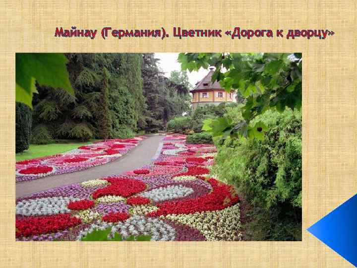 Майнау (Германия). Цветник «Дорога к дворцу» 
